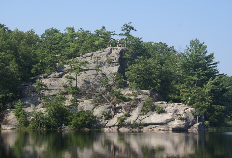 Long pond woods trail hotsell