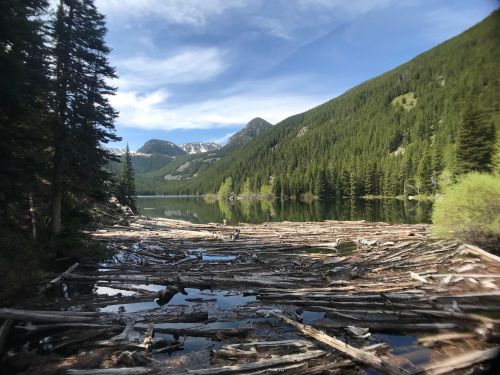 A serene lake surrounded by mountains and dense forest, with logs scattered along the water's edge.