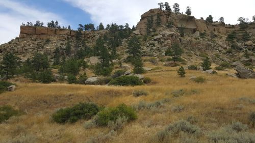 A rocky hillside with scattered trees and golden grass under a cloudy sky.