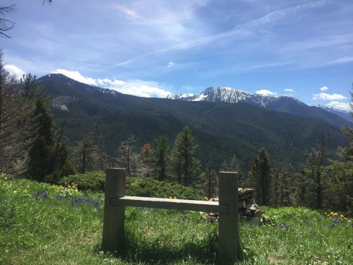 A scenic view of mountains and trees under a blue sky, with a wooden bench in the foreground.