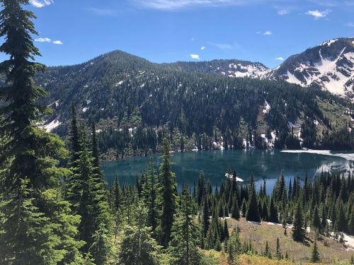 A serene mountain lake surrounded by lush green trees and snow-capped peaks under a clear blue sky.