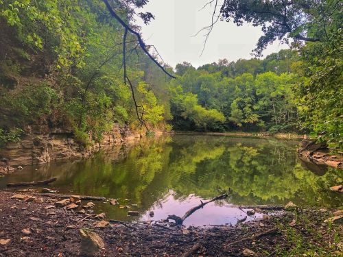 A serene pond surrounded by lush greenery and rocky cliffs, reflecting trees in calm water.