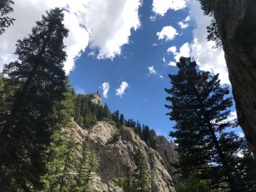 A scenic view of tall trees and rocky cliffs under a bright blue sky with fluffy white clouds.