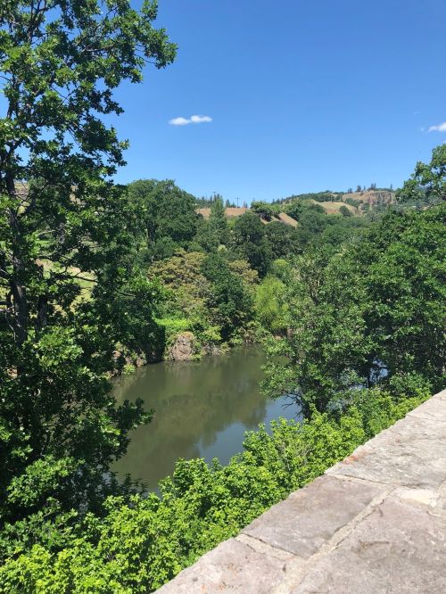 A serene river surrounded by lush greenery and trees under a clear blue sky.