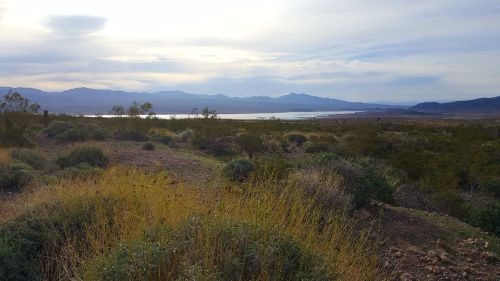 A scenic view of a landscape with shrubs and grasses, mountains in the background, and a lake reflecting the sky.