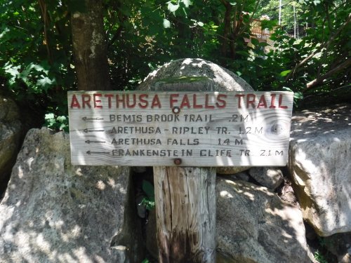 Wooden trail sign with directions to Arethusa Falls and nearby trails, surrounded by greenery and rocks.