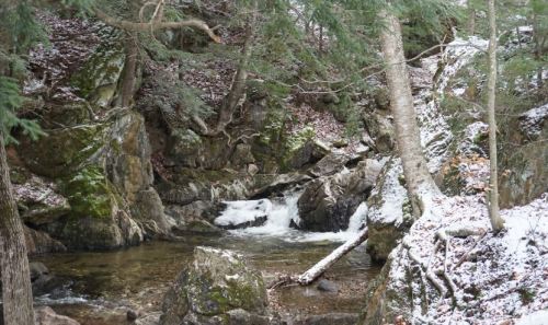 A serene winter scene featuring a small stream flowing through rocky terrain, surrounded by snow-dusted trees.