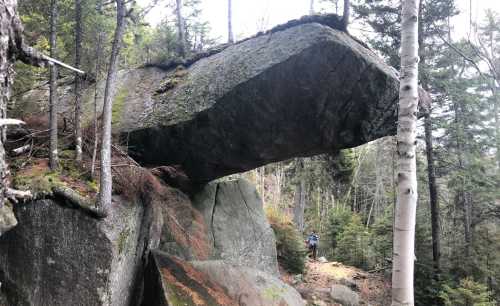 A large, flat rock formation balanced on a smaller boulder in a forested area, with a person standing nearby.