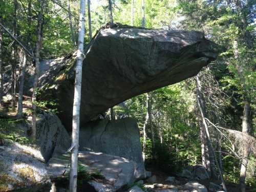 A large, flat rock balanced on a smaller boulder, surrounded by trees in a forested area.