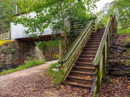 A wooden staircase leads up to a covered bridge, surrounded by trees and a dirt path in a serene, natural setting.