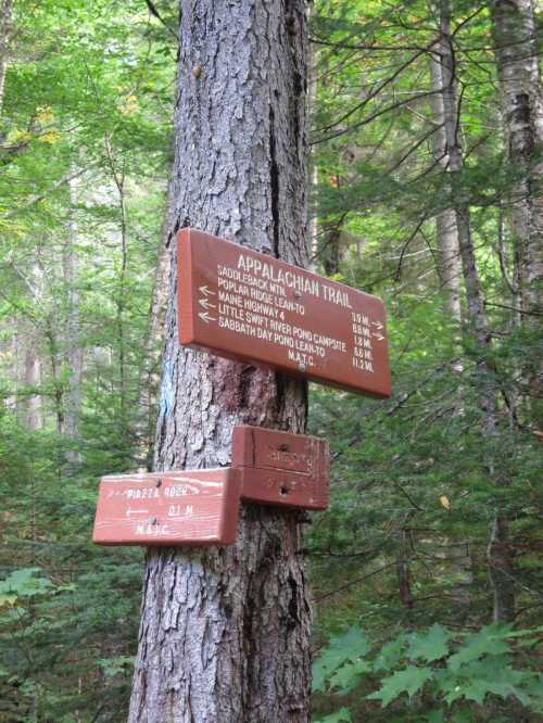 Wooden trail signs on a tree indicating distances to various locations on the Appalachian Trail in a forested area.