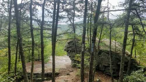 A rocky outcrop surrounded by trees, overlooking a lush green landscape under a cloudy sky.