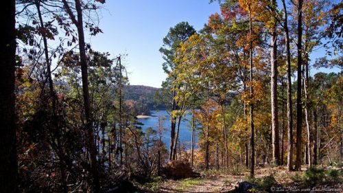 A serene view of a lake surrounded by trees with autumn foliage under a clear blue sky.