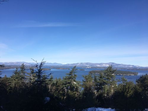 A scenic view of a lake surrounded by trees and mountains under a clear blue sky.