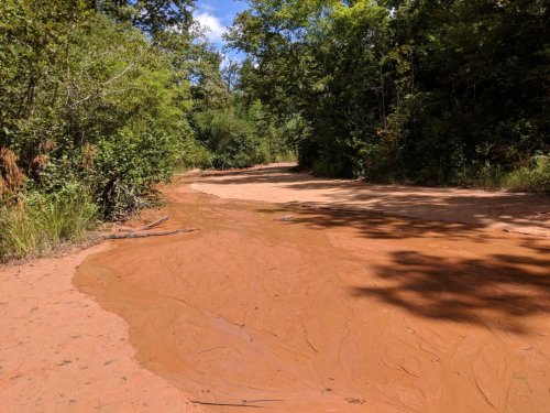 A sandy path winding through lush greenery under a clear blue sky, with a small stream of water flowing along it.