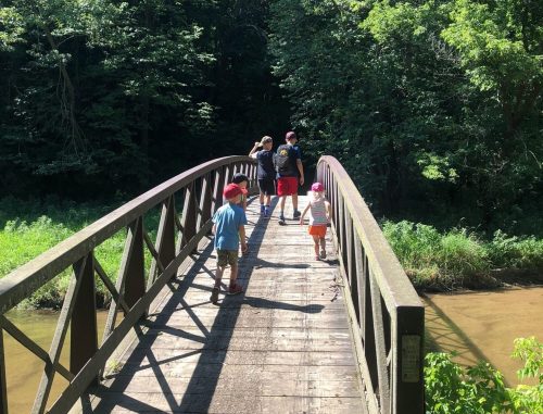Four children walk across a wooden bridge surrounded by lush green trees and a river below.
