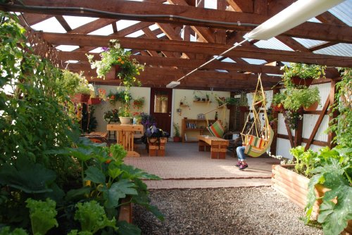 A cozy greenhouse with wooden beams, plants hanging from the ceiling, and a seating area with a hammock.