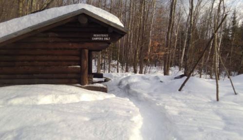 A snow-covered path leads to a rustic log cabin in a winter forest. Trees surround the area, creating a serene atmosphere.
