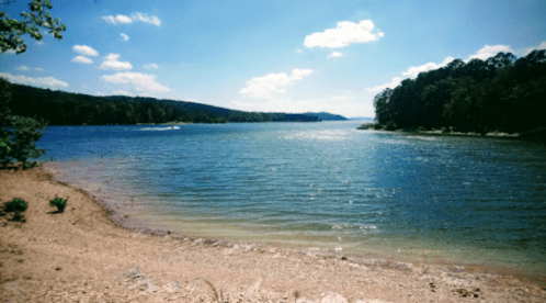 A serene lake surrounded by trees under a bright blue sky with fluffy clouds, featuring a sandy shore.