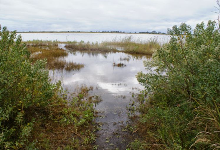 Salt Marsh Views At Lathrop Wildlife Refuge