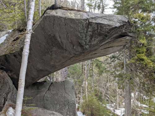 A large, flat rock ledge balanced on a boulder, surrounded by trees and snow in a forested area.