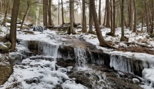 A serene winter scene featuring a flowing waterfall surrounded by snow-covered rocks and tall trees.