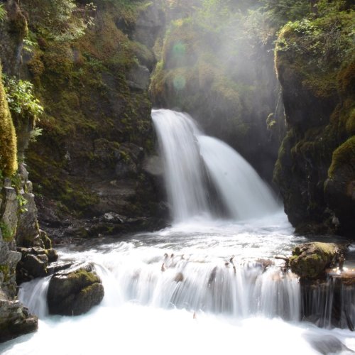 A serene waterfall cascading over rocks, surrounded by lush greenery and soft sunlight filtering through the trees.