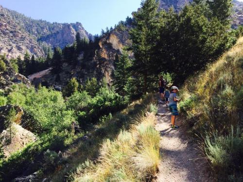 Two children walking along a narrow trail in a mountainous area, surrounded by trees and greenery.