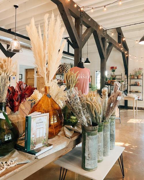 A cozy shop interior featuring decorative dried plants in vases, books, and warm lighting with wooden beams.