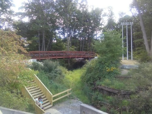 A wooden bridge spans a small creek, surrounded by lush greenery and trees, with stairs leading down to the water.