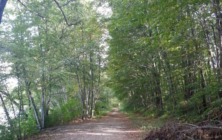 Scenic Railroad Remnants On The Stillwater Walkway