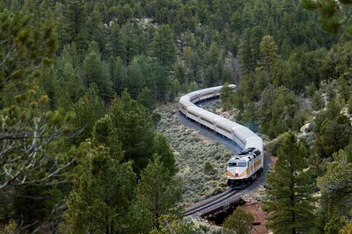 A train winds through a forested landscape, surrounded by green trees and rocky terrain.