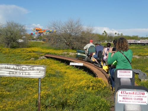 A small train on a winding track through a field of yellow flowers, with riders enjoying the scenic view.