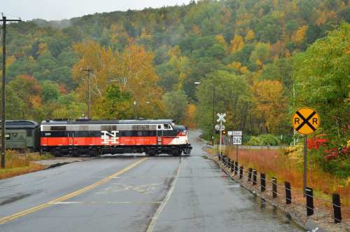 A train crosses a road surrounded by colorful autumn trees on a rainy day. A railroad crossing sign is visible.