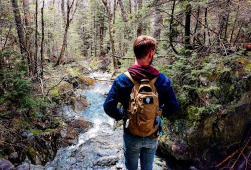 A person with a backpack stands by a flowing stream in a forest, surrounded by trees and rocky terrain.