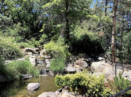 A serene landscape featuring a small waterfall, lush greenery, and large rocks in a peaceful natural setting.