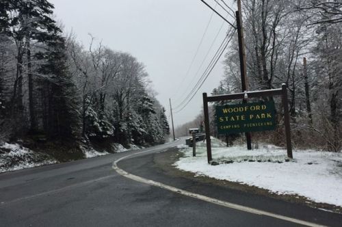 A snowy road leads to the Woodford State Park sign, surrounded by trees and a gray sky.