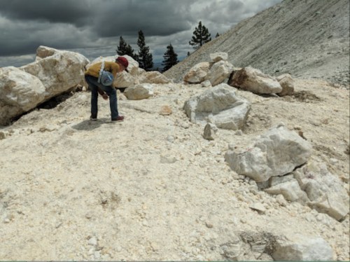 A person examines rocks on a gravelly terrain under a cloudy sky, surrounded by large boulders and trees in the background.