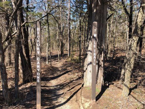 Two wooden signs mark the trail: one for Hickory Canyons and the other for a 1 Mile Trail, surrounded by trees.