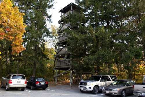 A wooden observation tower surrounded by trees, with several parked cars in the foreground.