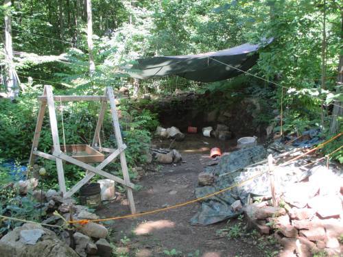 A forested area with a makeshift shelter, rocks, and tools, indicating a campsite or excavation site.