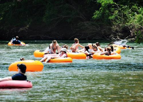 A group of people floating on orange inner tubes in a river, enjoying a sunny day surrounded by greenery.