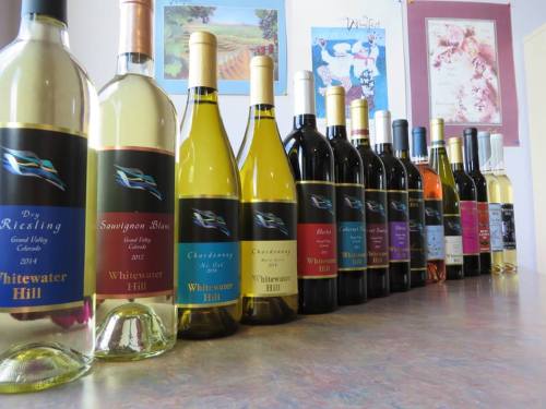 A row of wine bottles in various colors and labels, displayed on a table with colorful artwork in the background.