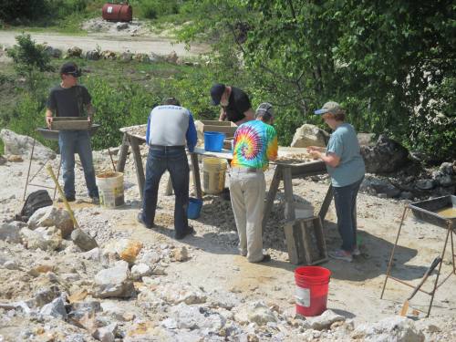 A group of five people sifting through rocks and soil at an outdoor excavation site, surrounded by nature.