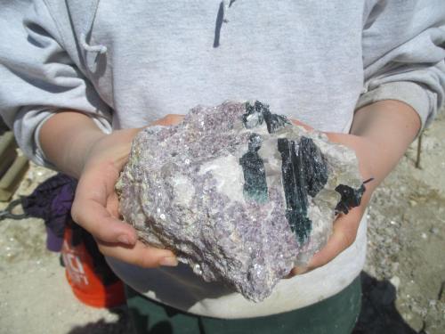 A person holds a large, colorful mineral specimen with purple, green, and black crystals against a bright background.