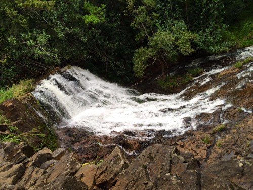 A cascading waterfall flows over rocky terrain, surrounded by lush green trees and foliage.