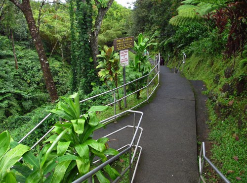 A winding path through lush greenery, with a sign indicating the trail ahead and railings along the sides.