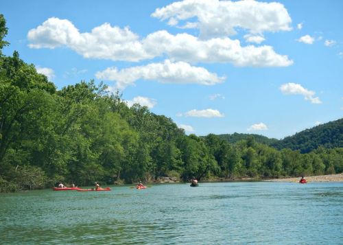 A serene river scene with kayakers paddling among lush green trees under a blue sky with fluffy clouds.