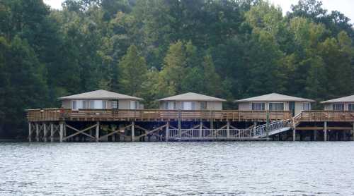 Three wooden cabins on stilts by a lake, surrounded by lush green trees. A wooden walkway leads to the cabins.