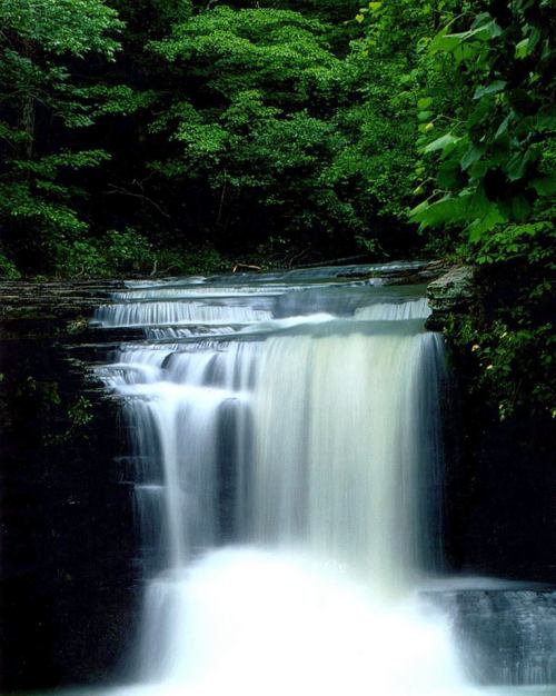 A serene waterfall cascading over rocks, surrounded by lush green foliage.